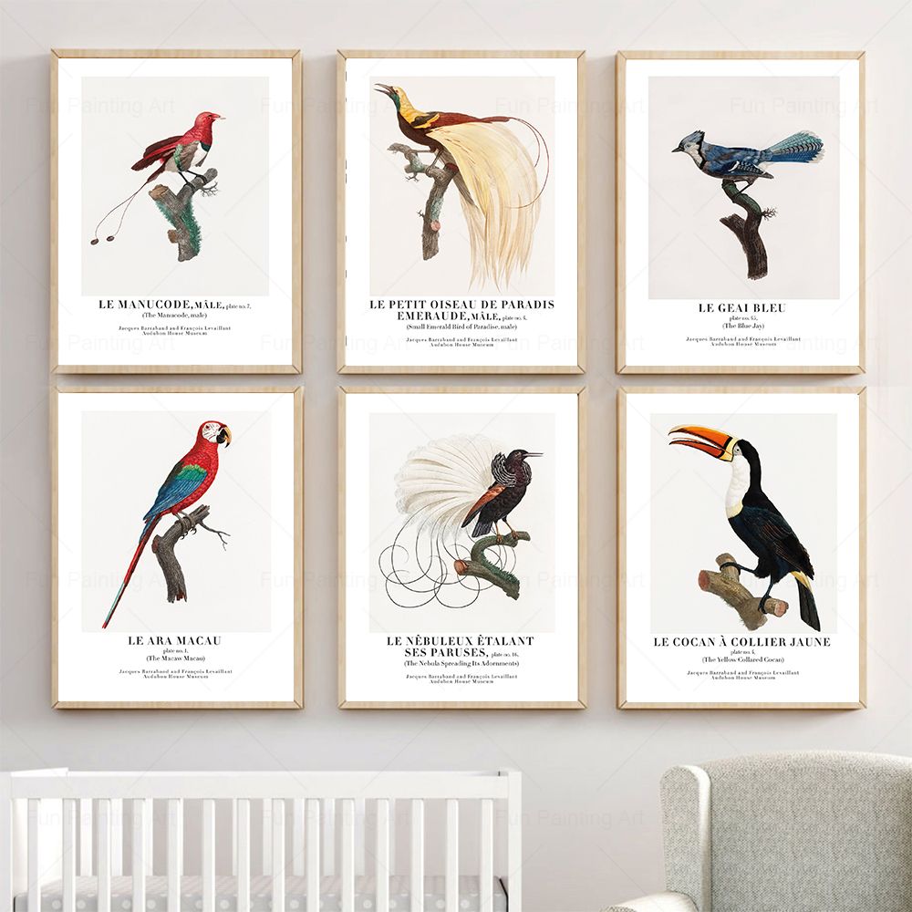 Vintage Paradise Bird Wall Art - Furniture Paradise & Hardware Ghaziabad By Owner recension och pris