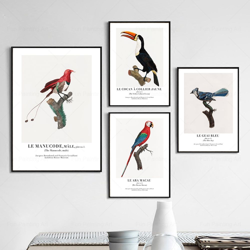 Vintage Paradise Bird Wall Art - Furniture Paradise & Hardware Ghaziabad By Owner recension och pris