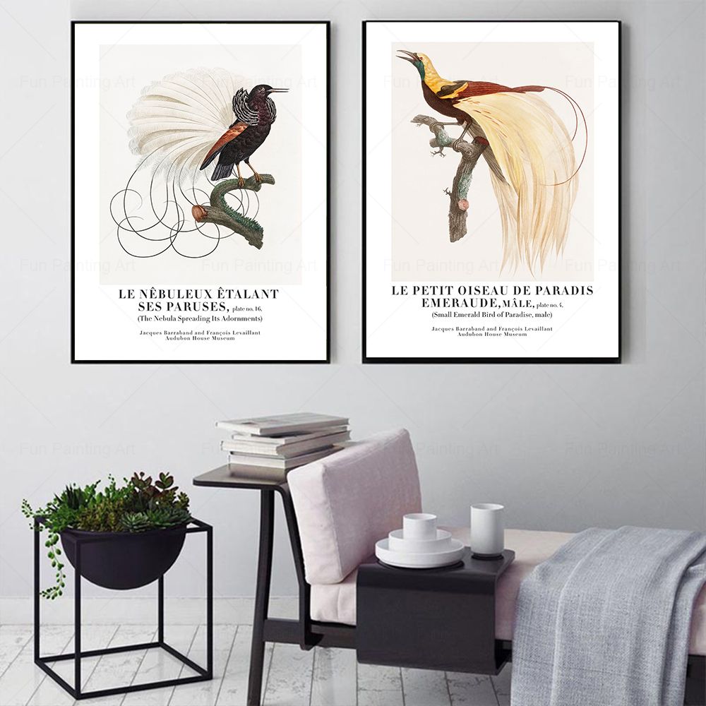 Vintage Paradise Bird Wall Art - Furniture Paradise & Hardware Ghaziabad By Owner recension och pris