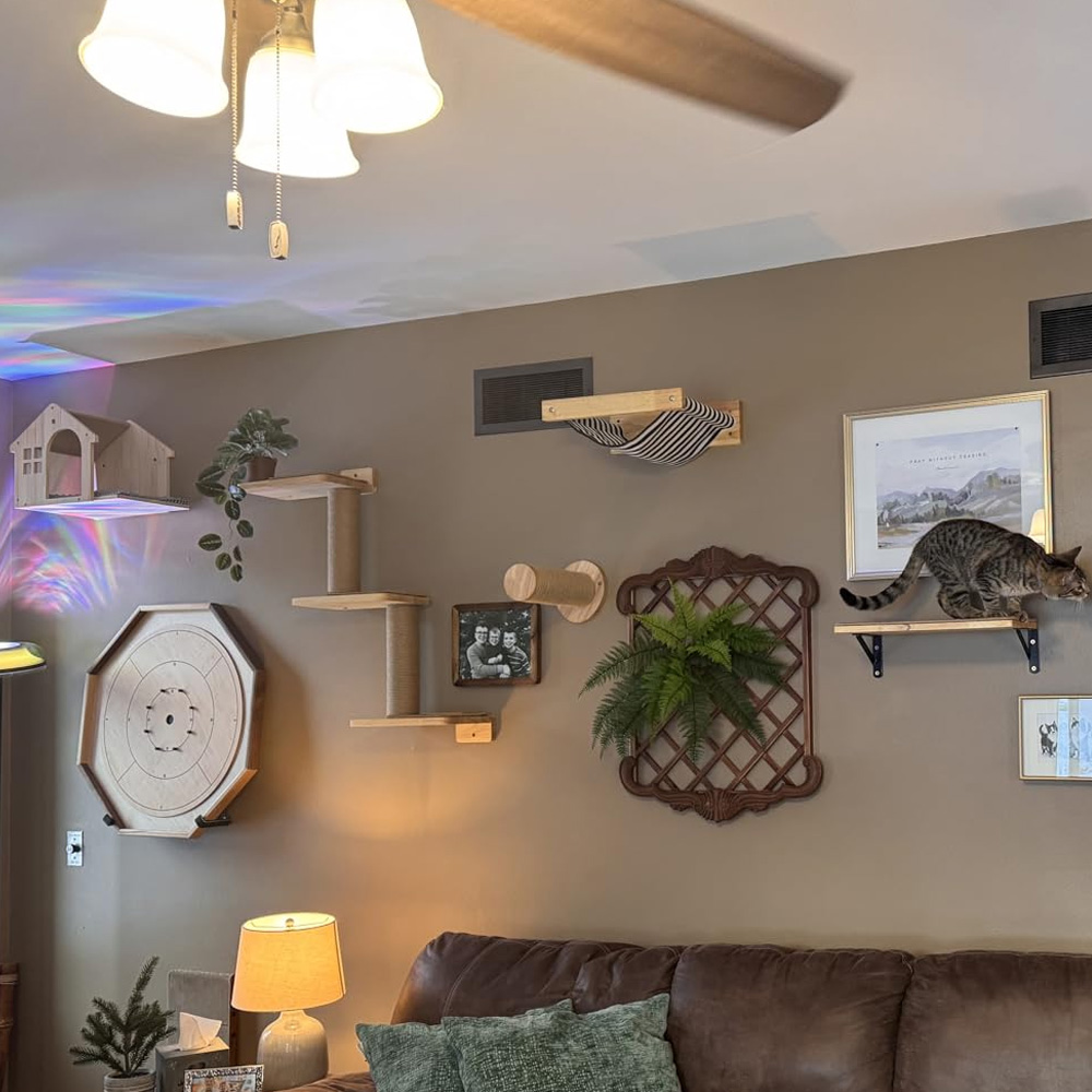 Cat Furniture Solid Wooden Sus - Furniture Paradise & Hardware Ghaziabad By Owner recension och pris
