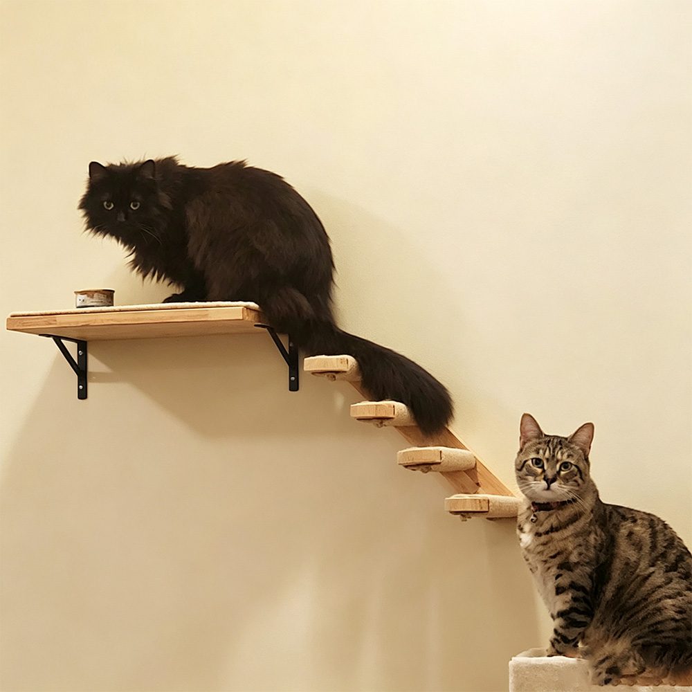 Cat Furniture Solid Wooden Sus - Furniture Paradise & Hardware Ghaziabad By Owner recension och pris